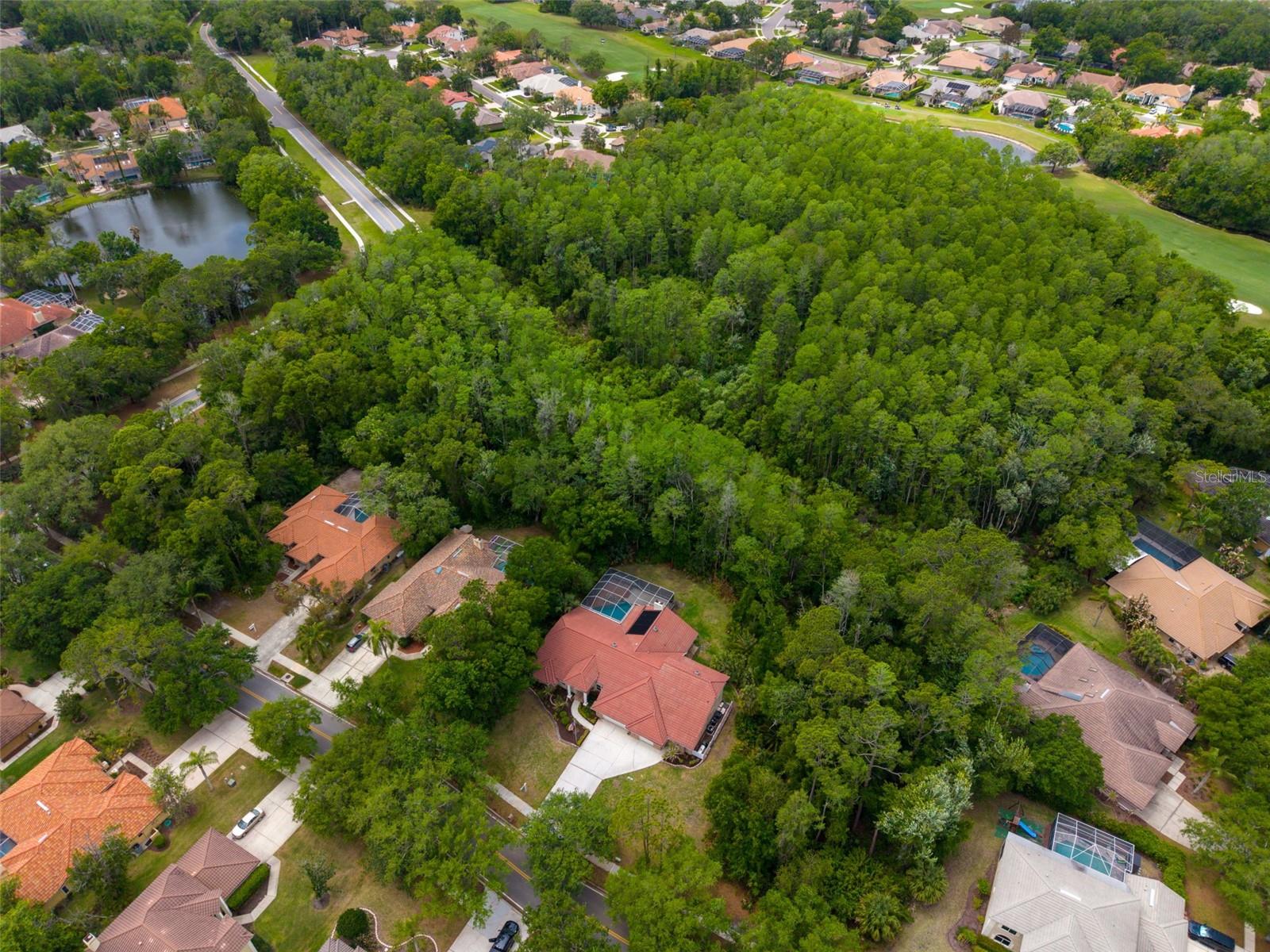1404 EAST LAKE WOODLANDS PKWY, OLDSMAR, FL, 34677