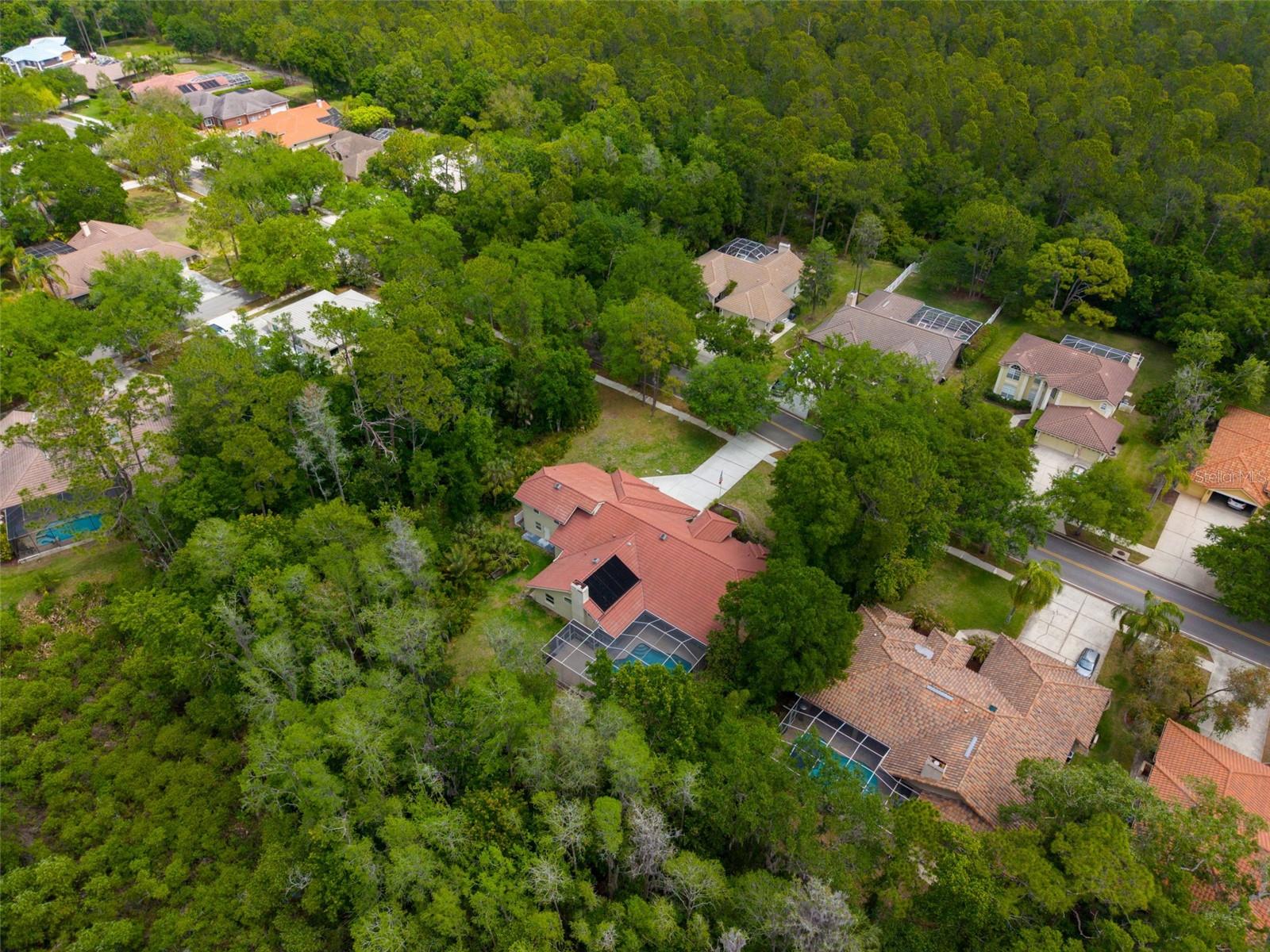 1404 EAST LAKE WOODLANDS PKWY, OLDSMAR, FL, 34677