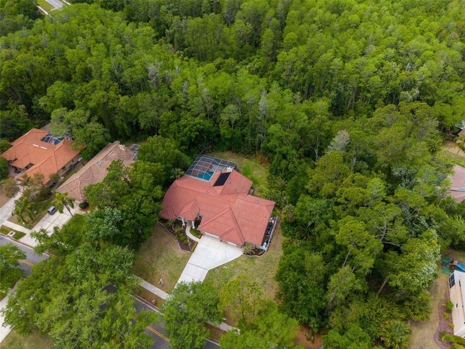 1404 EAST LAKE WOODLANDS PKWY, OLDSMAR, FL, 34677