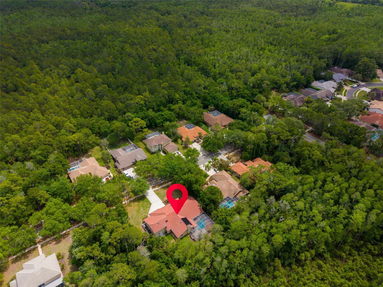 1404 EAST LAKE WOODLANDS PKWY, OLDSMAR, FL, 34677