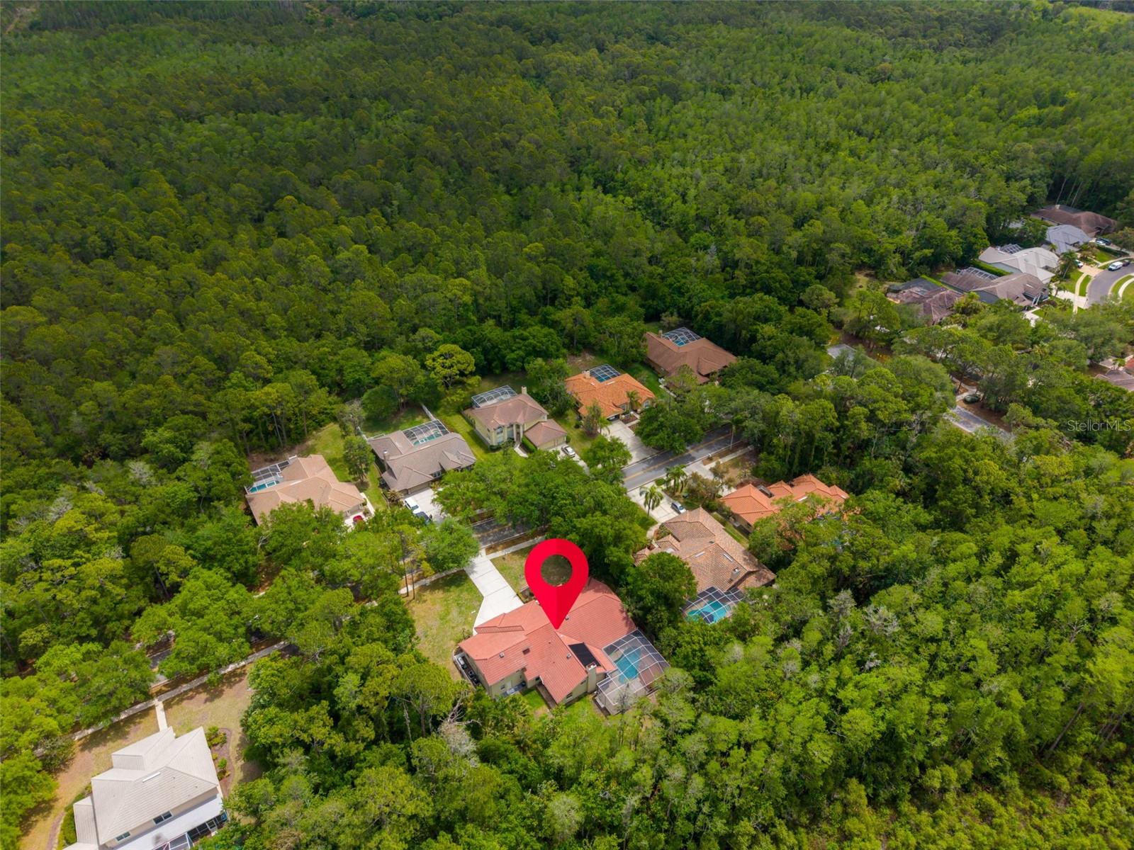 1404 EAST LAKE WOODLANDS PKWY, OLDSMAR, FL, 34677