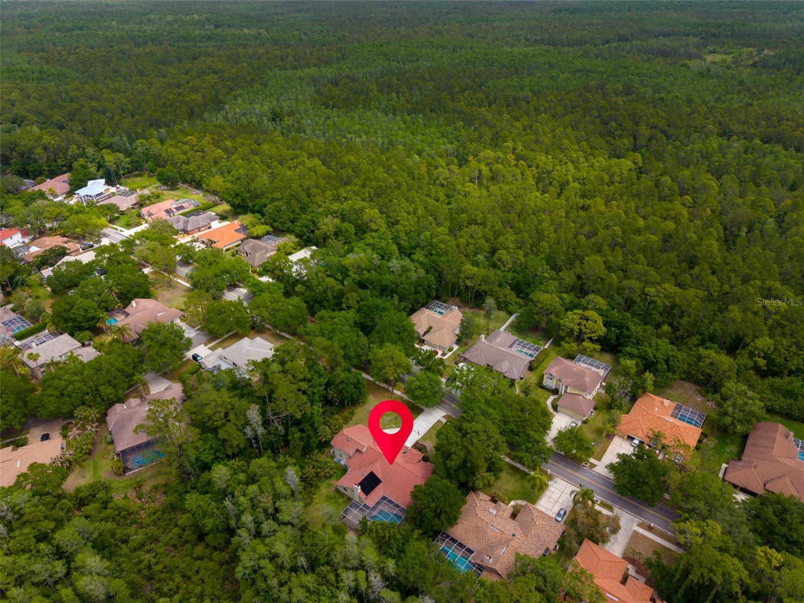 1404 EAST LAKE WOODLANDS PKWY, OLDSMAR, FL, 34677