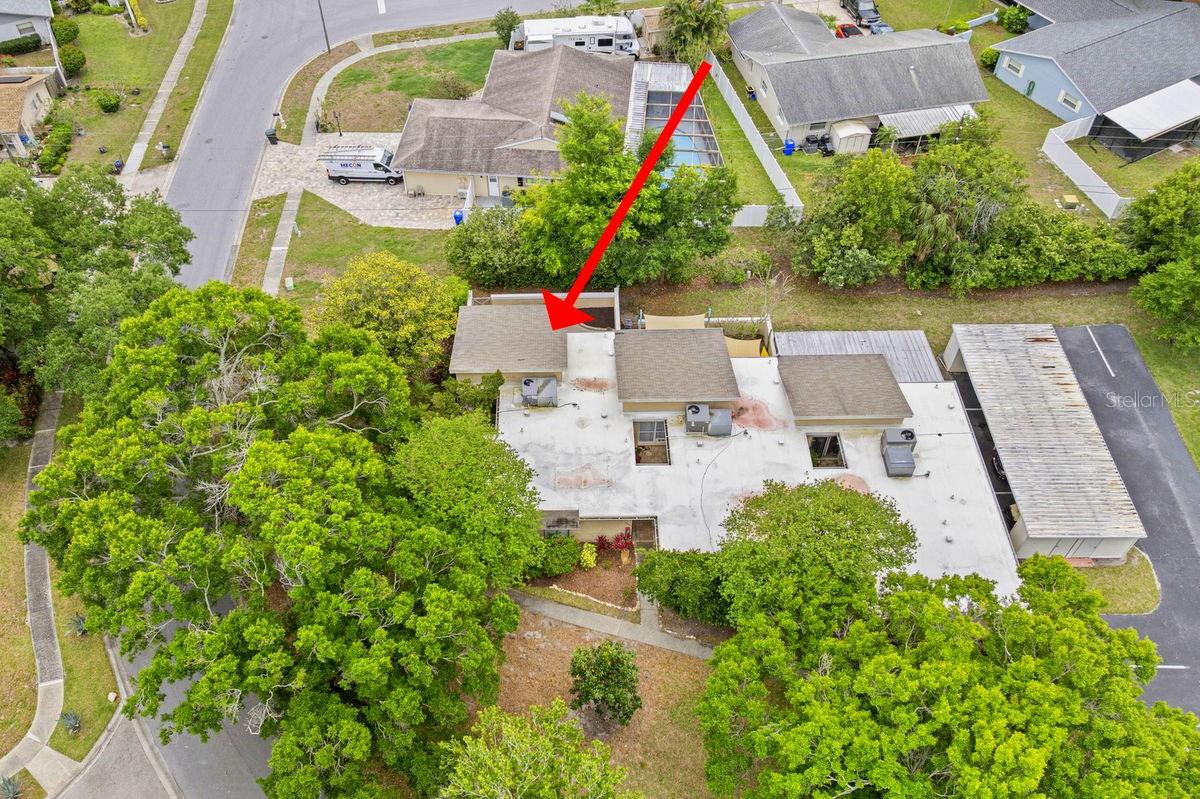 1607 AMBERLEA DR S, DUNEDIN, FL, 34698