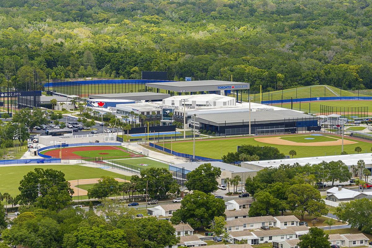 1607 AMBERLEA DR S, DUNEDIN, FL, 34698