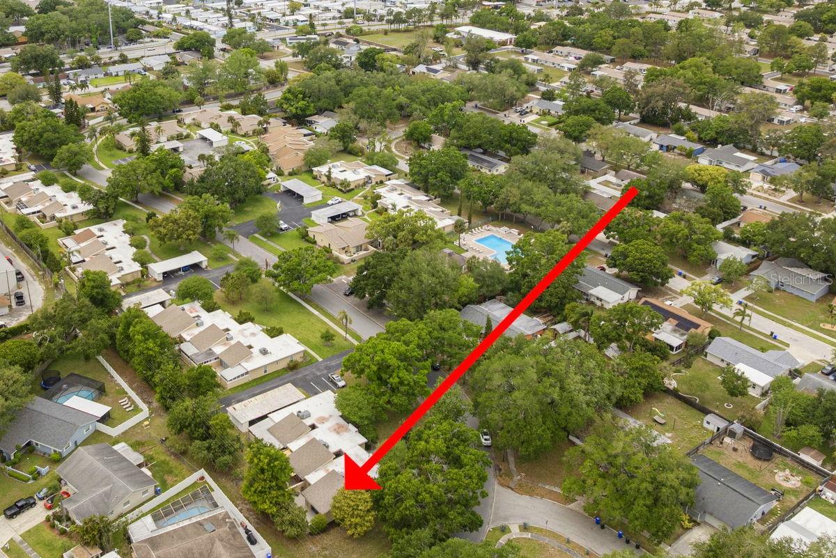 1607 AMBERLEA DR S, DUNEDIN, FL, 34698