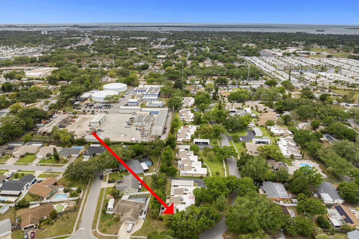 1607 AMBERLEA DR S, DUNEDIN, FL, 34698