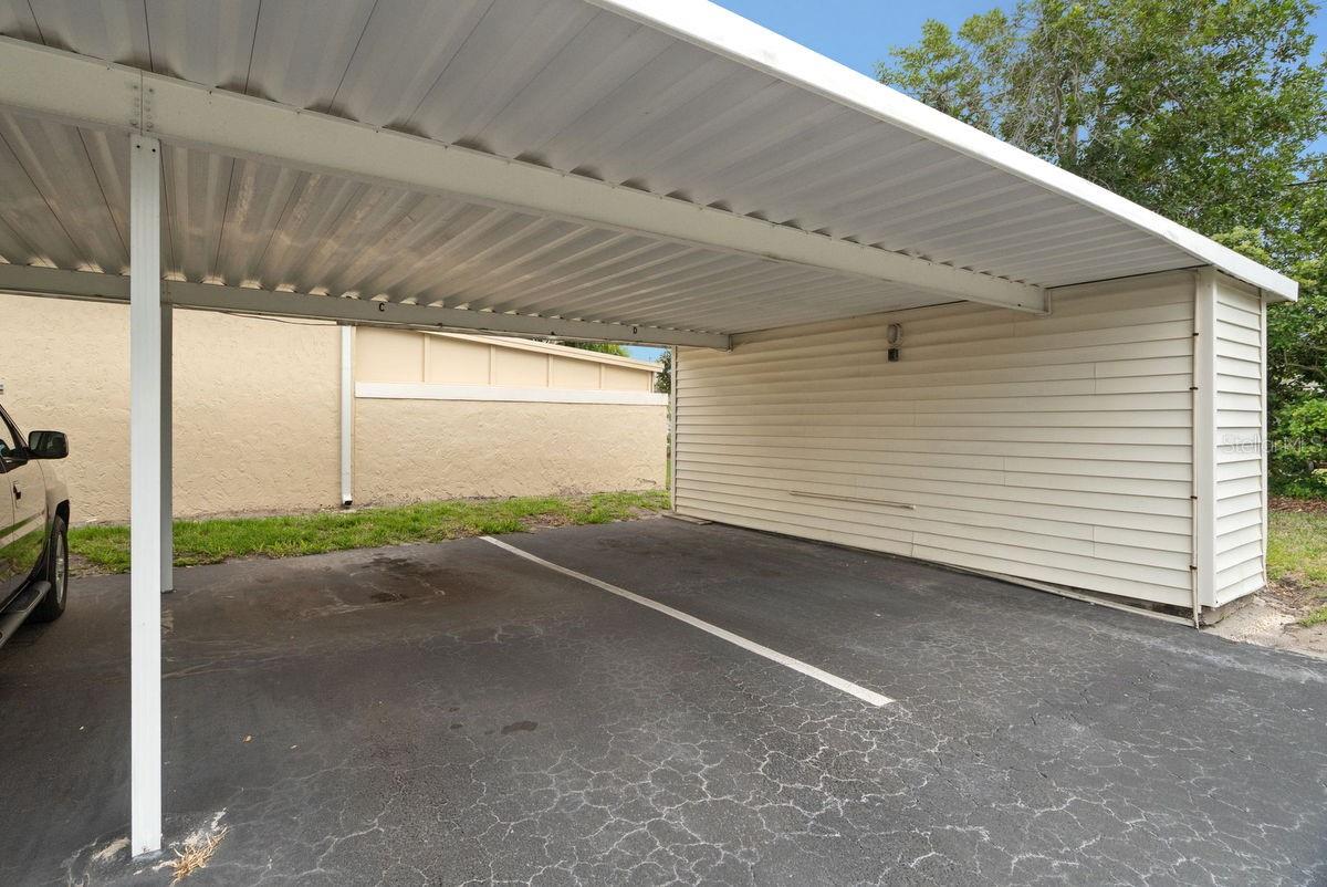 1607 AMBERLEA DR S, DUNEDIN, FL, 34698