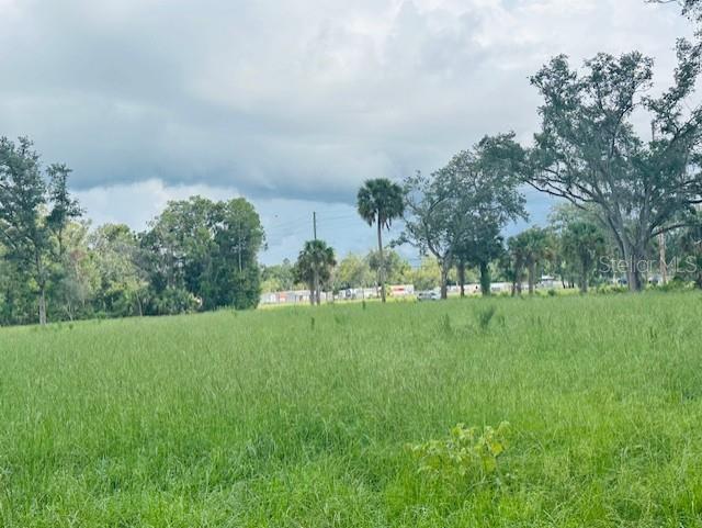 17450 SE HIGHWAY 19, CROSS CITY, FL, 32628