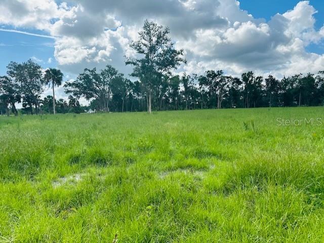 17450 SE HIGHWAY 19, CROSS CITY, FL, 32628