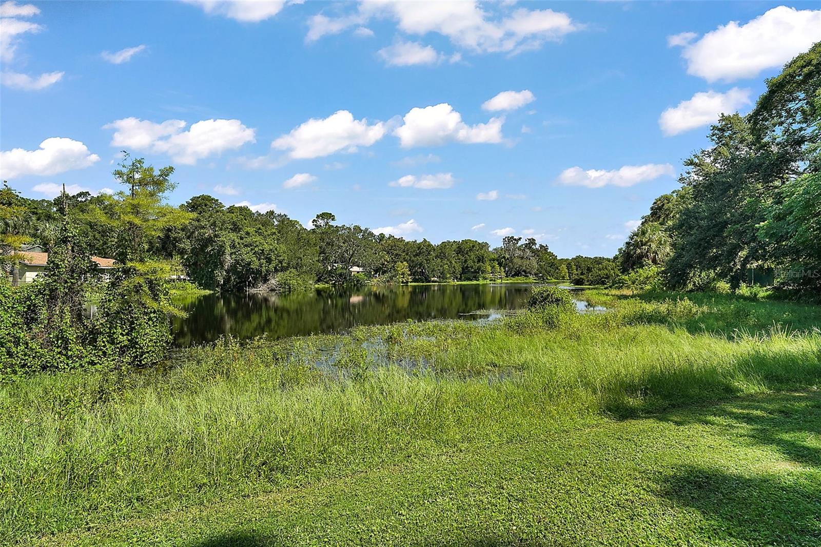 705 SUMMIT CT, MOUNT DORA, FL, 32757