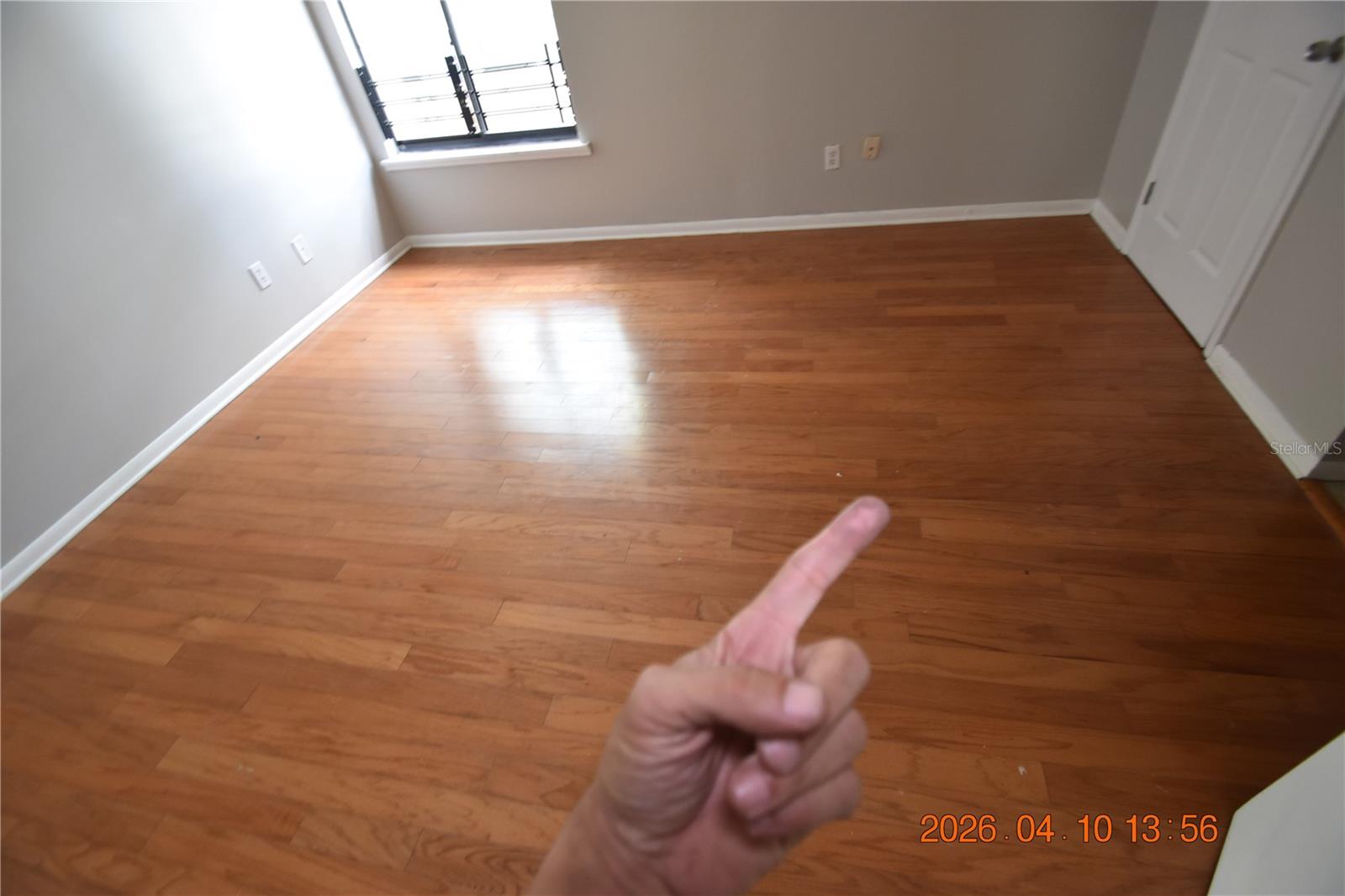 12403 JOEL CT, TAMPA, FL, 33612