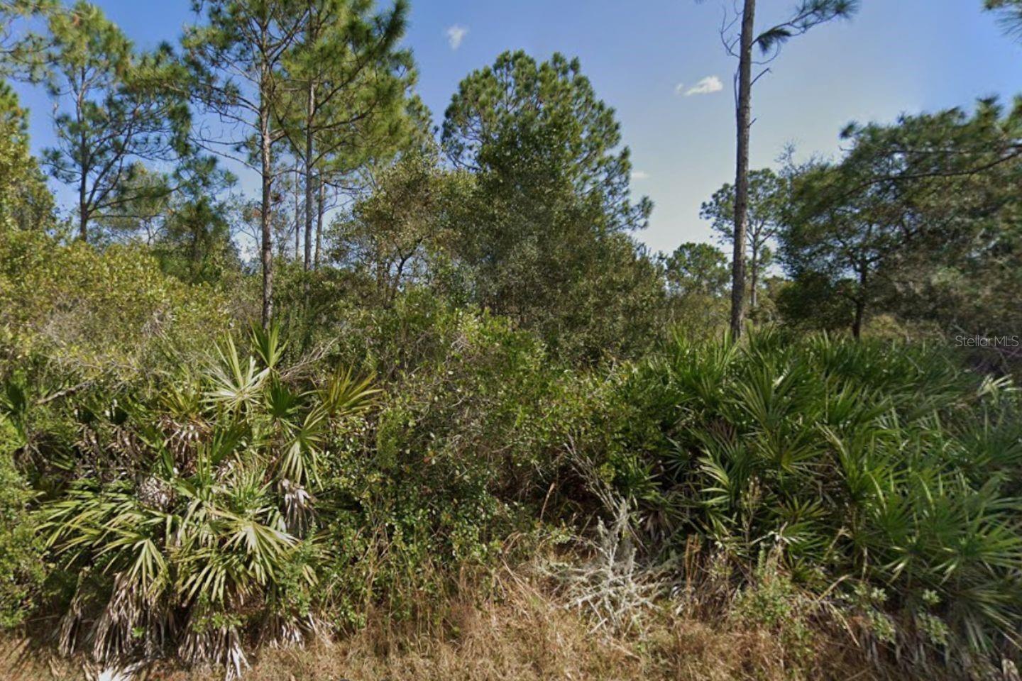 29 ULMACEAL PATH, PALM COAST, FL, 32164