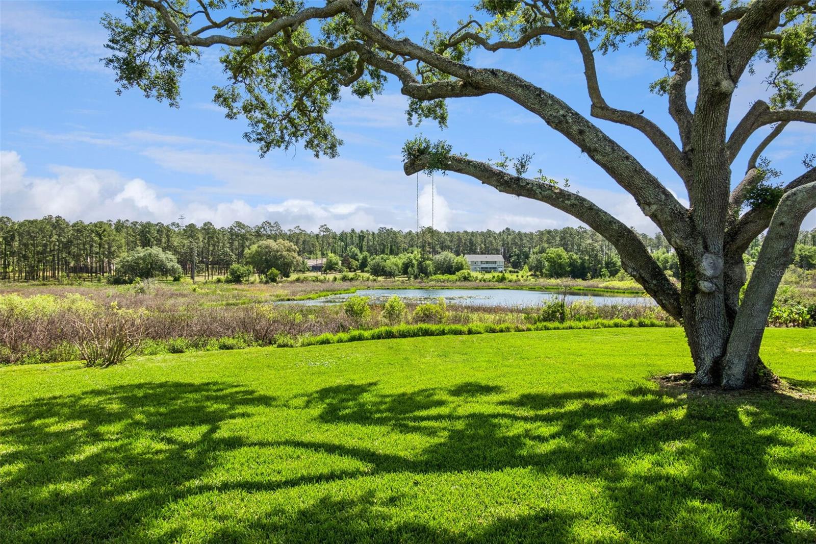 10740 ARROWTREE BLVD, CLERMONT, FL, 34715