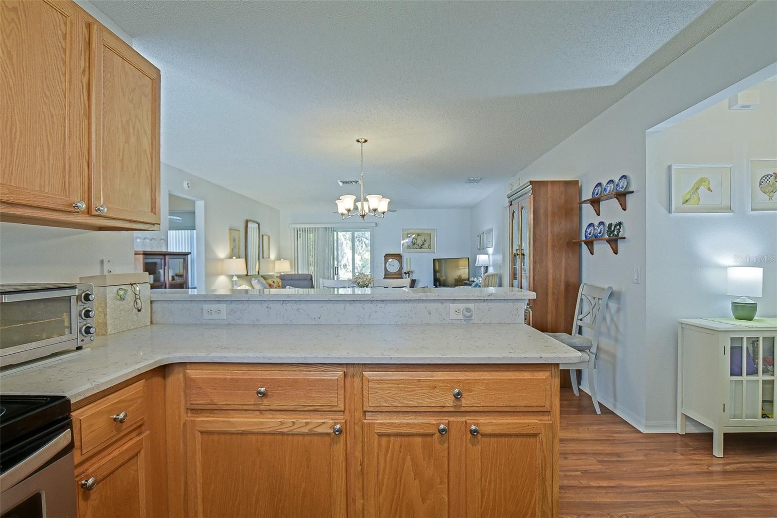 16852 SE 96TH CHAPELWOOD CIR, THE VILLAGES, FL, 32162