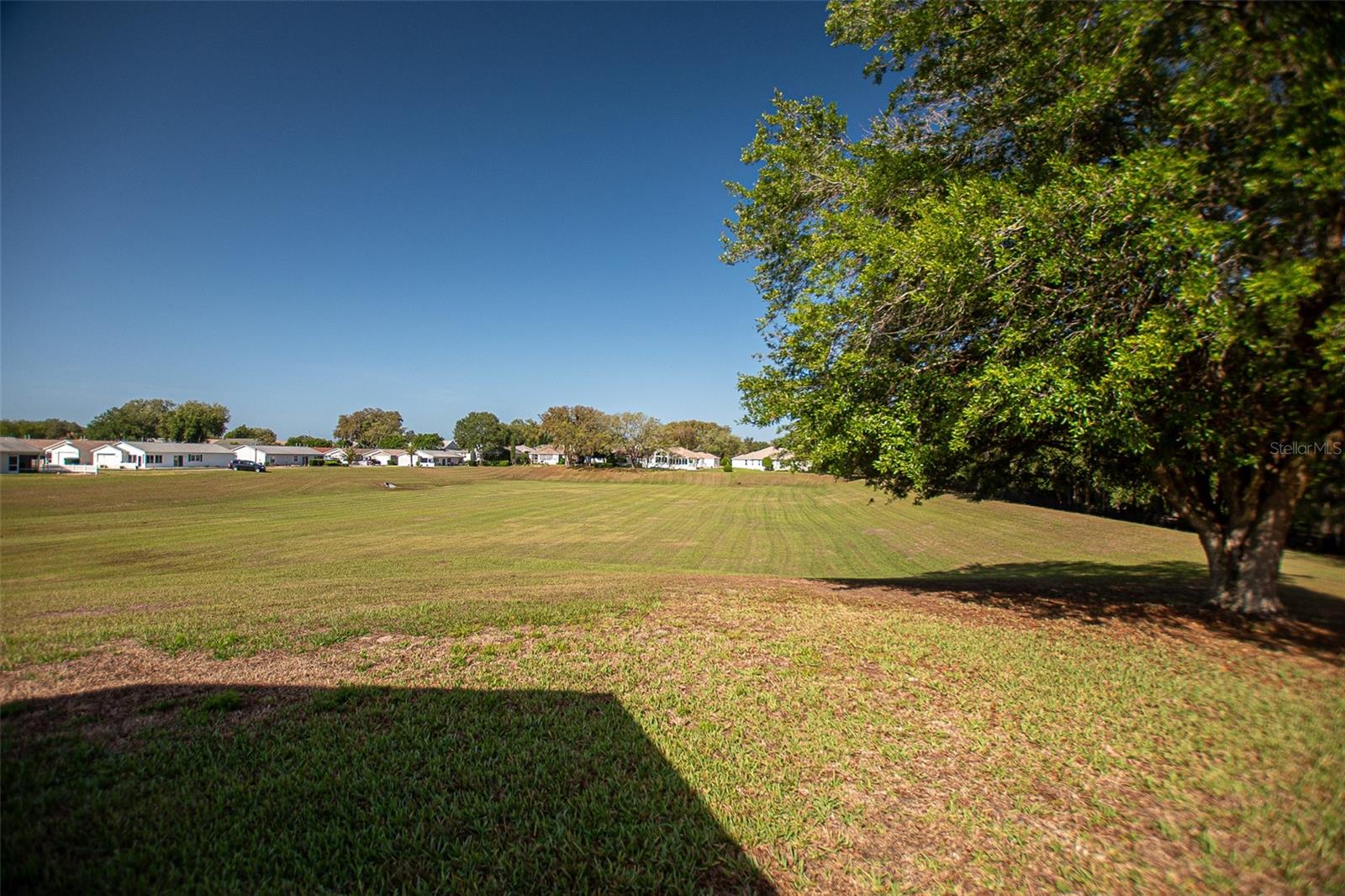 16852 SE 96TH CHAPELWOOD CIR, THE VILLAGES, FL, 32162