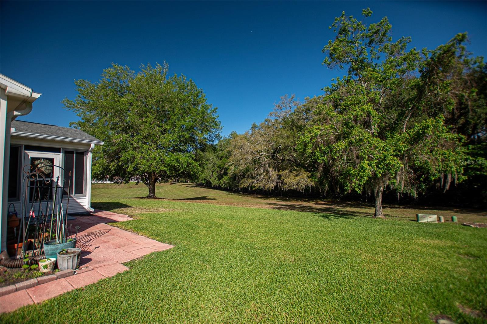 16852 SE 96TH CHAPELWOOD CIR, THE VILLAGES, FL, 32162