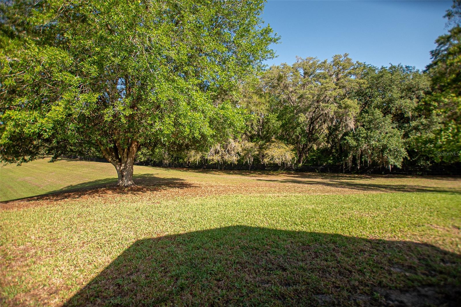 16852 SE 96TH CHAPELWOOD CIR, THE VILLAGES, FL, 32162