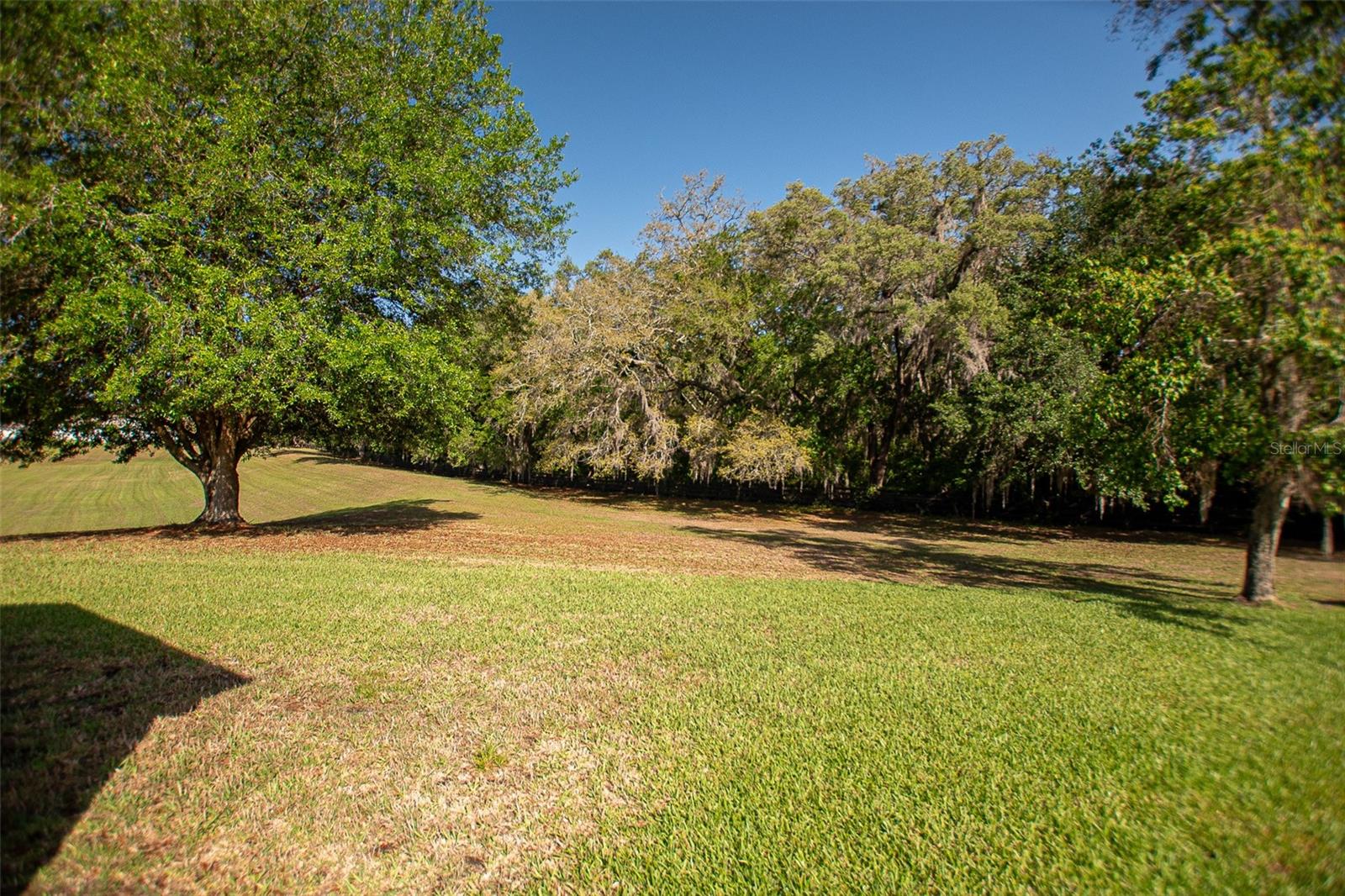 16852 SE 96TH CHAPELWOOD CIR, THE VILLAGES, FL, 32162