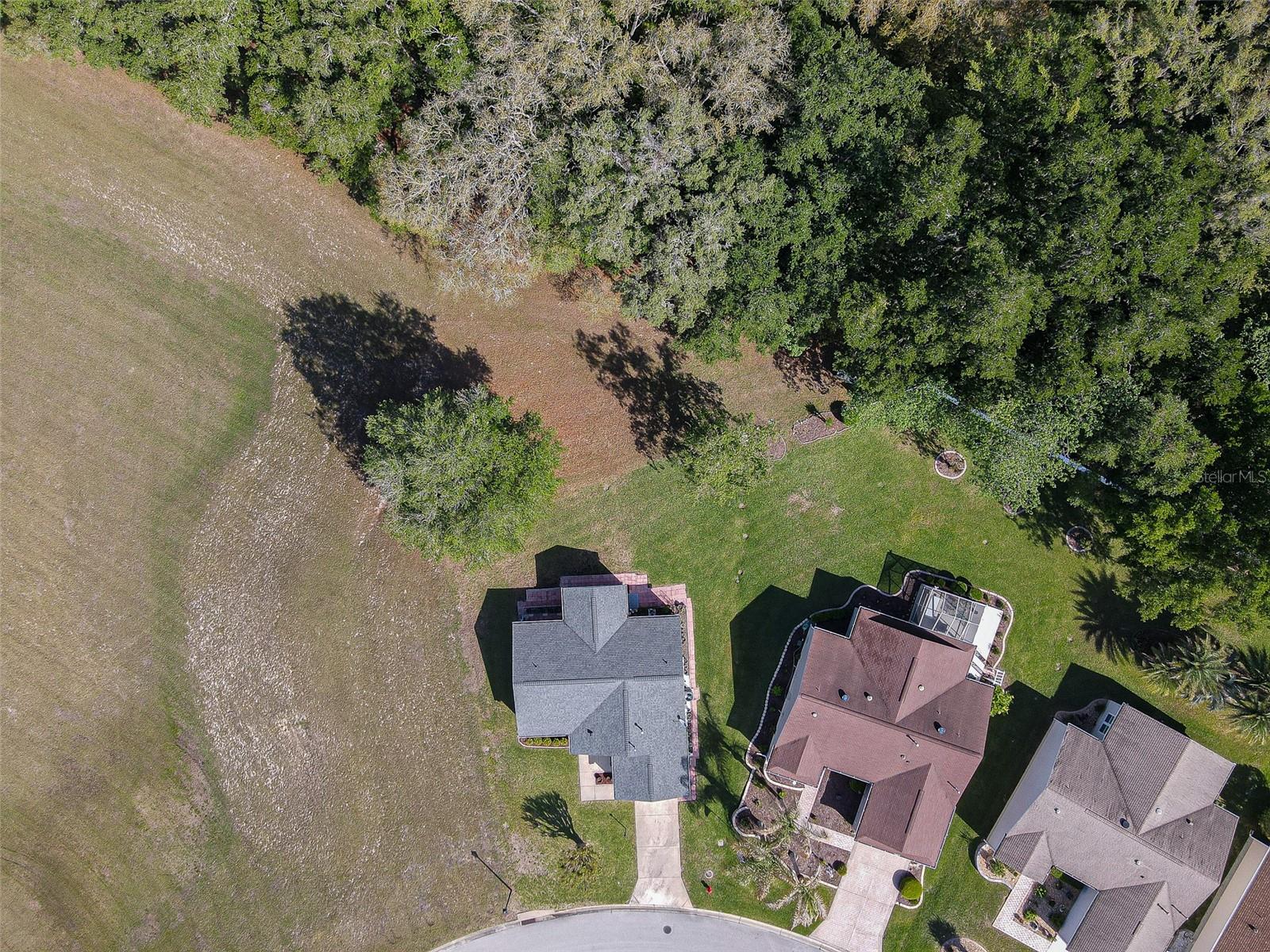 16852 SE 96TH CHAPELWOOD CIR, THE VILLAGES, FL, 32162