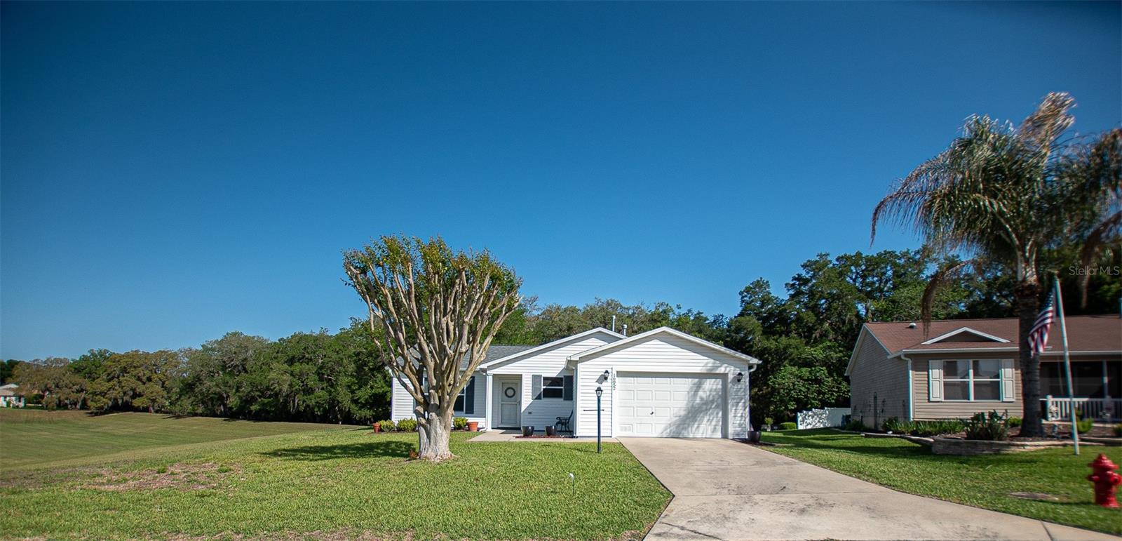 16852 SE 96TH CHAPELWOOD CIR, THE VILLAGES, FL, 32162