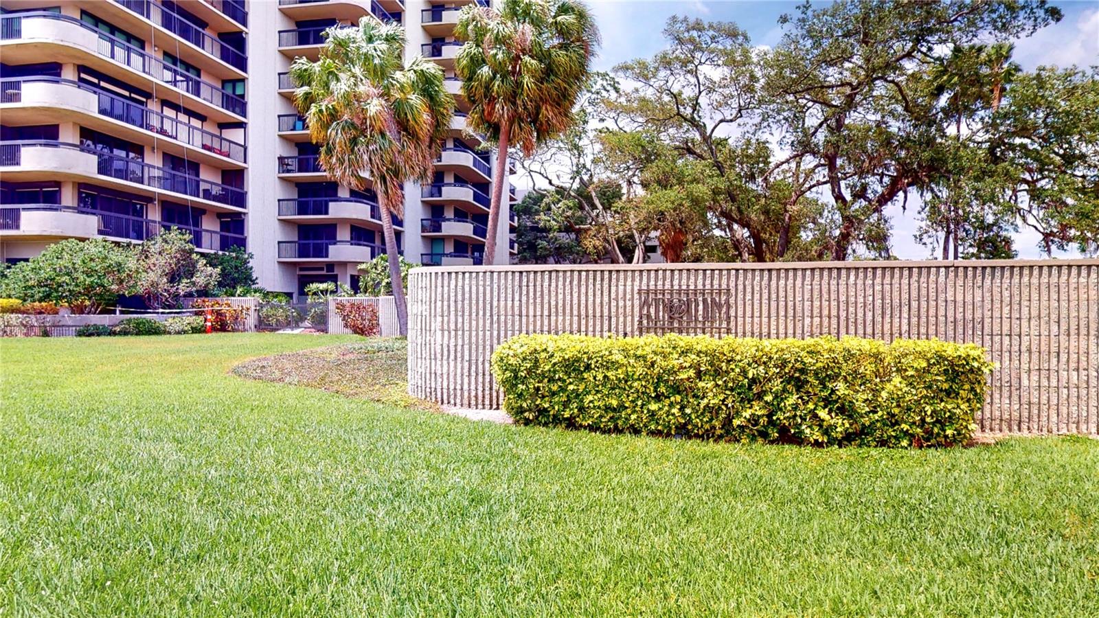 2413 BAYSHORE BLVD #803, TAMPA, FL, 33629