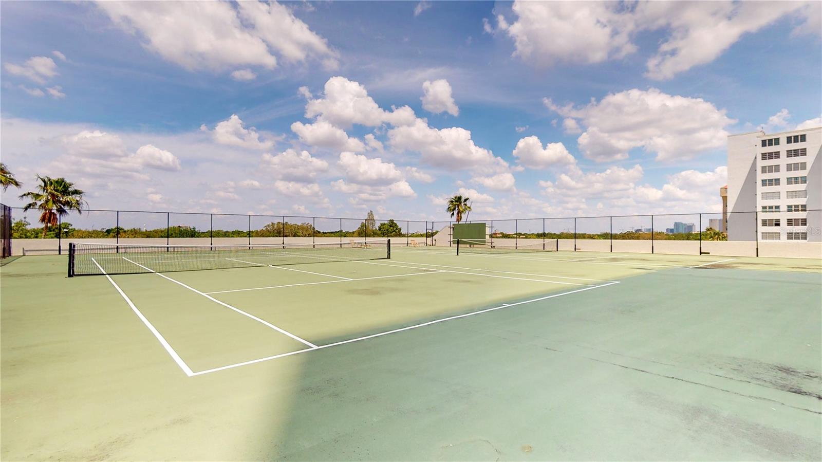 2413 BAYSHORE BLVD #803, TAMPA, FL, 33629