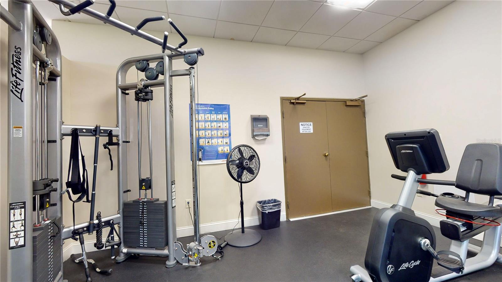 2413 BAYSHORE BLVD #803, TAMPA, FL, 33629