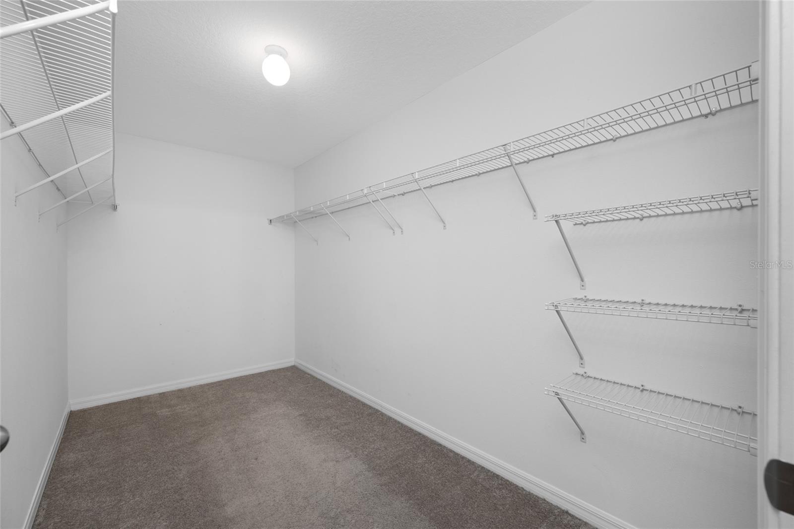 Walk in Primary Closet