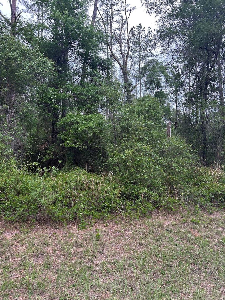 6265 N ALLSTON TER, DUNNELLON, FL, 34433