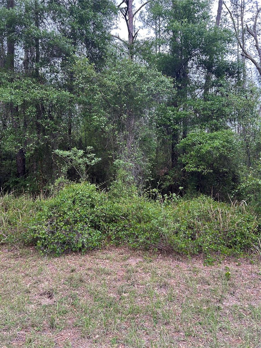 6265 N ALLSTON TER, DUNNELLON, FL, 34433