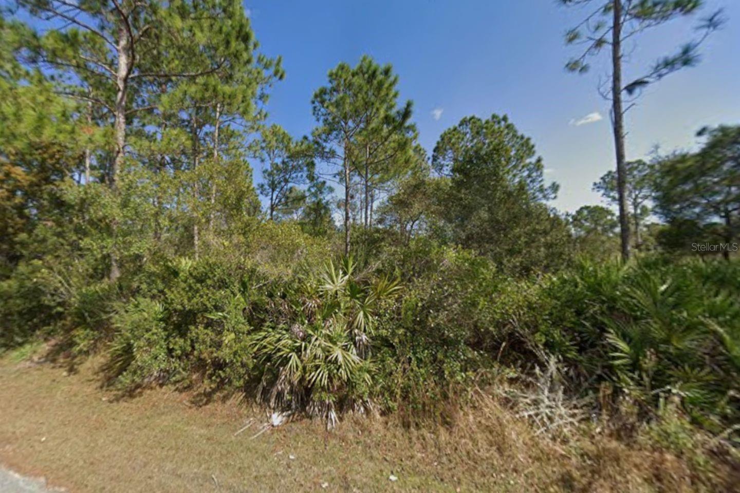 25 ULMACEAL PATH, PALM COAST, FL, 32164