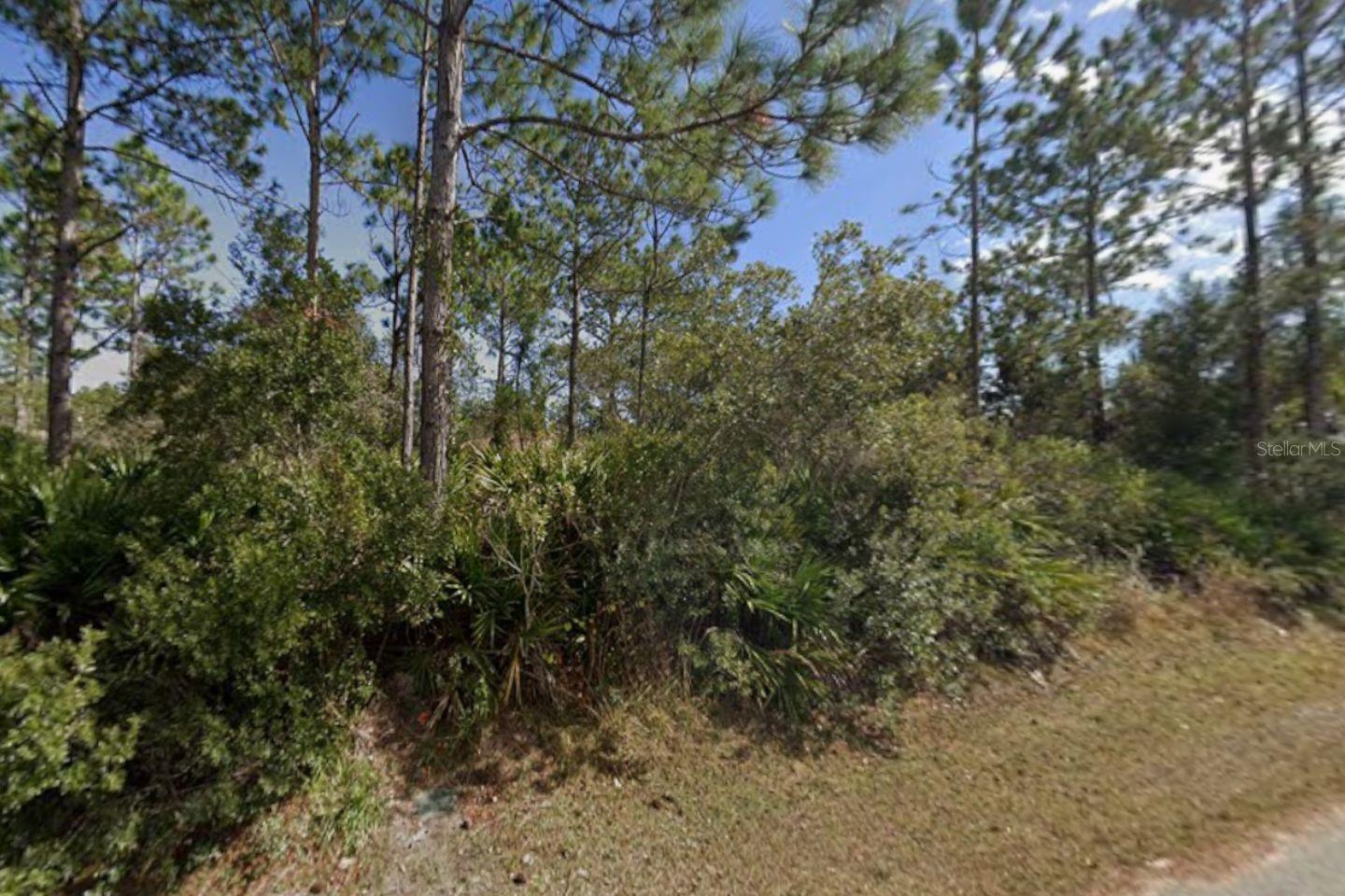 25 ULMACEAL PATH, PALM COAST, FL, 32164