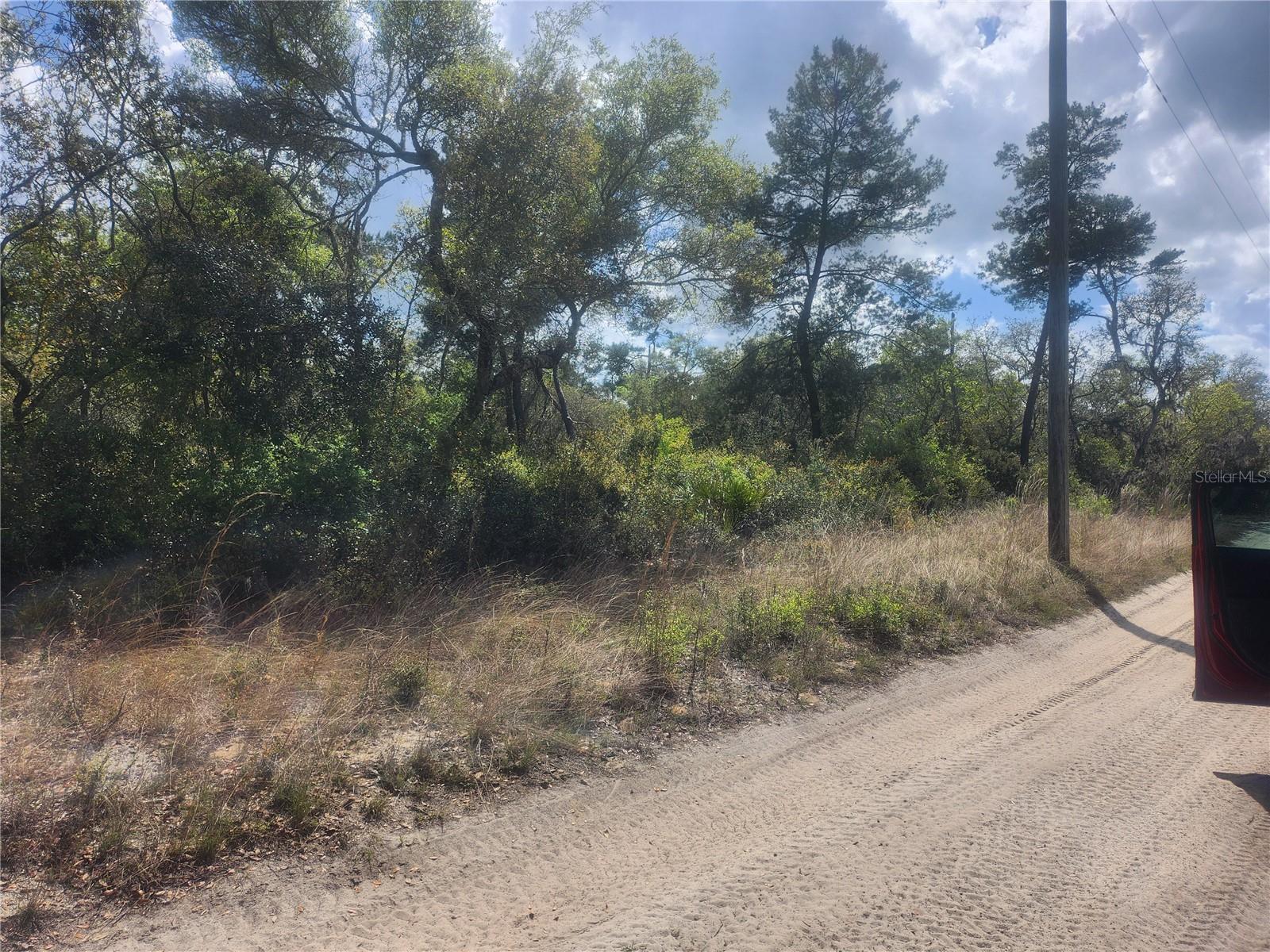 TBD NE 236 LN, ORANGE SPRINGS, FL, 32182