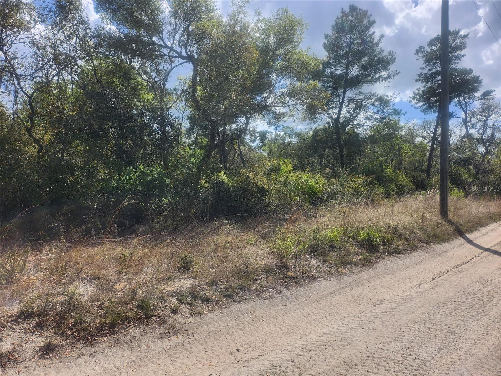 TBD NE 236 LN, ORANGE SPRINGS, FL, 32182