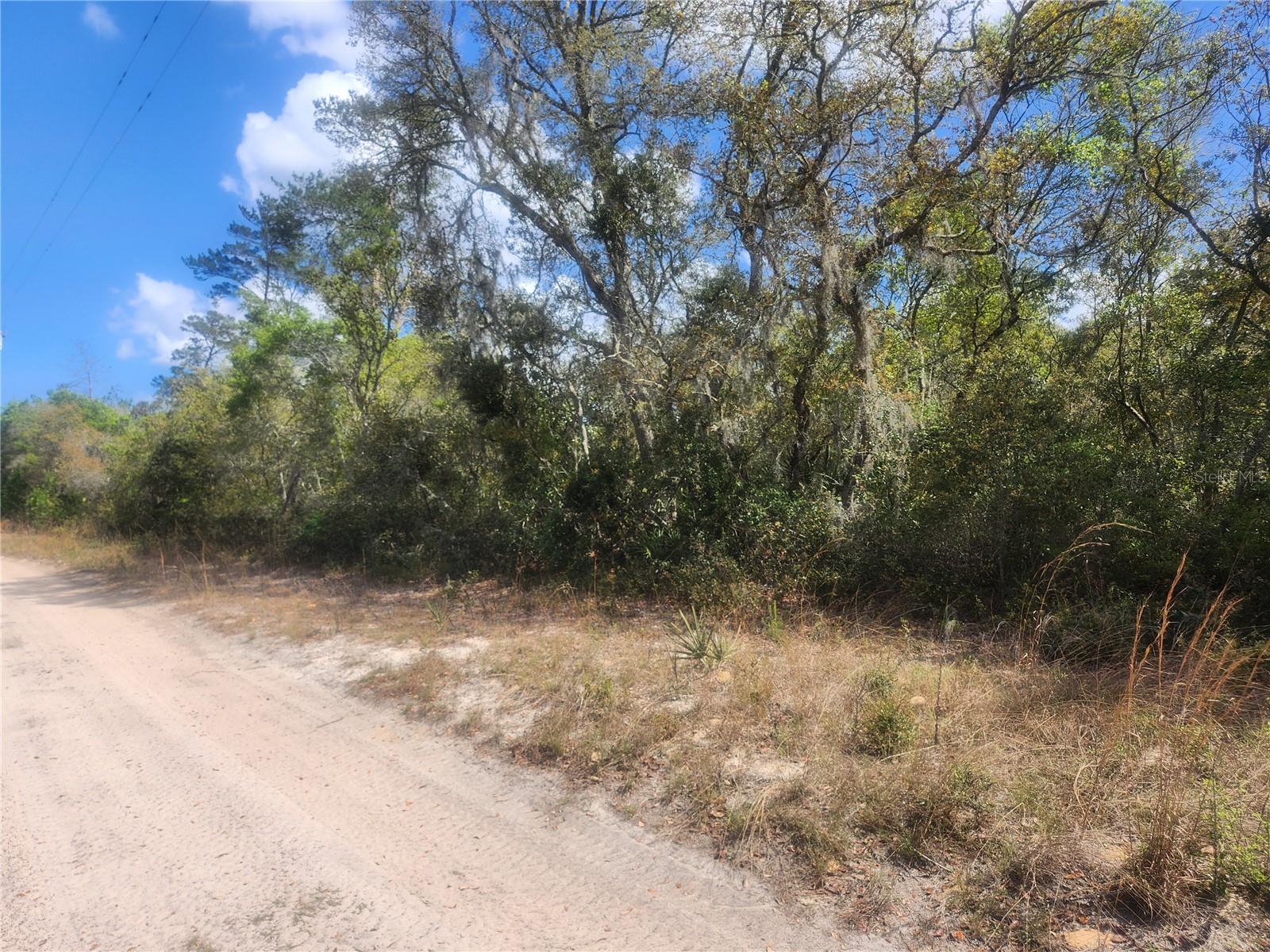 TBD NE 236 LN, ORANGE SPRINGS, FL, 32182
