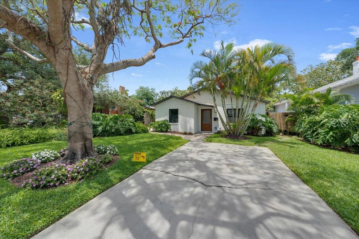165 19TH AVE SE, ST PETERSBURG, FL, 33705