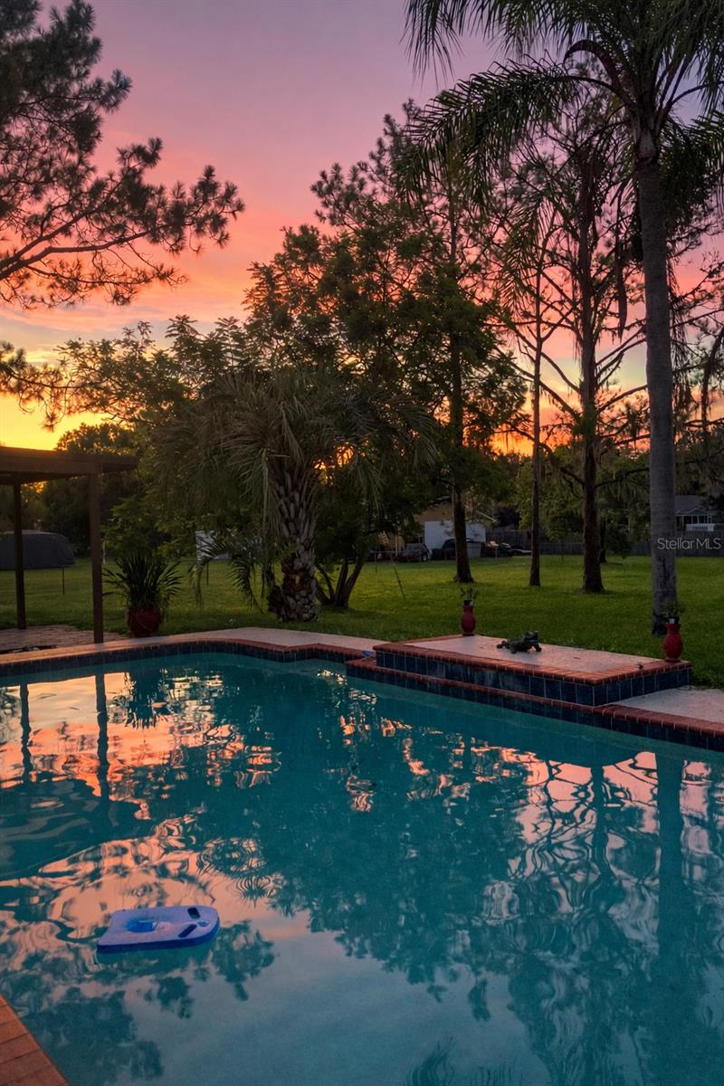 31639 STIRRUP LN, WESLEY CHAPEL, FL, 33543