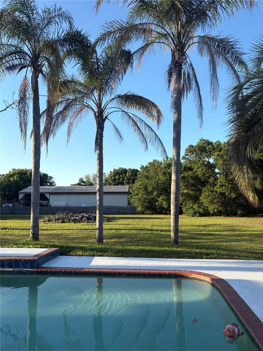 31639 STIRRUP LN, WESLEY CHAPEL, FL, 33543