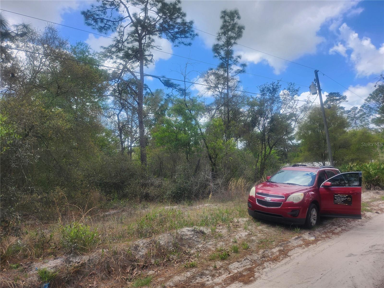 7446 SW 151ST PL, DUNNELLON, FL, 34432