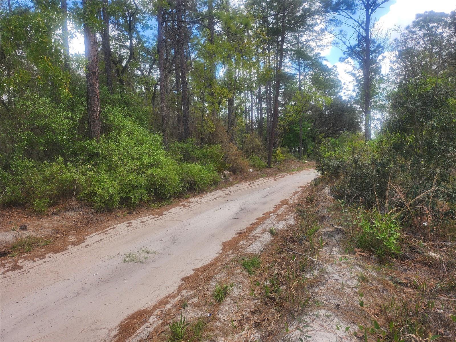 7446 SW 151ST PL, DUNNELLON, FL, 34432