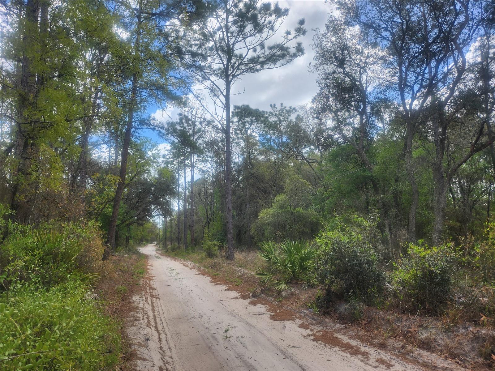 7446 SW 151ST PL, DUNNELLON, FL, 34432