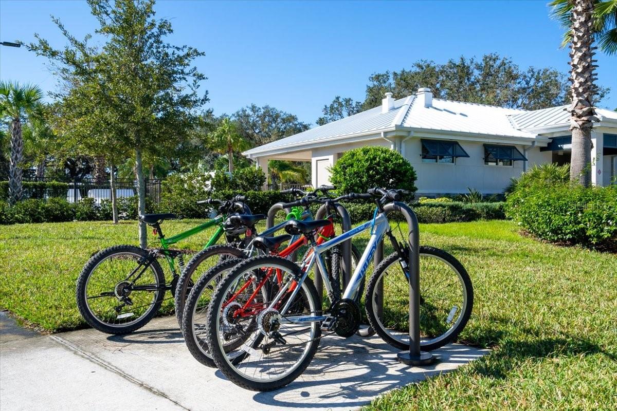 8728 STARRY NIGHT TER, PARRISH, FL, 34219