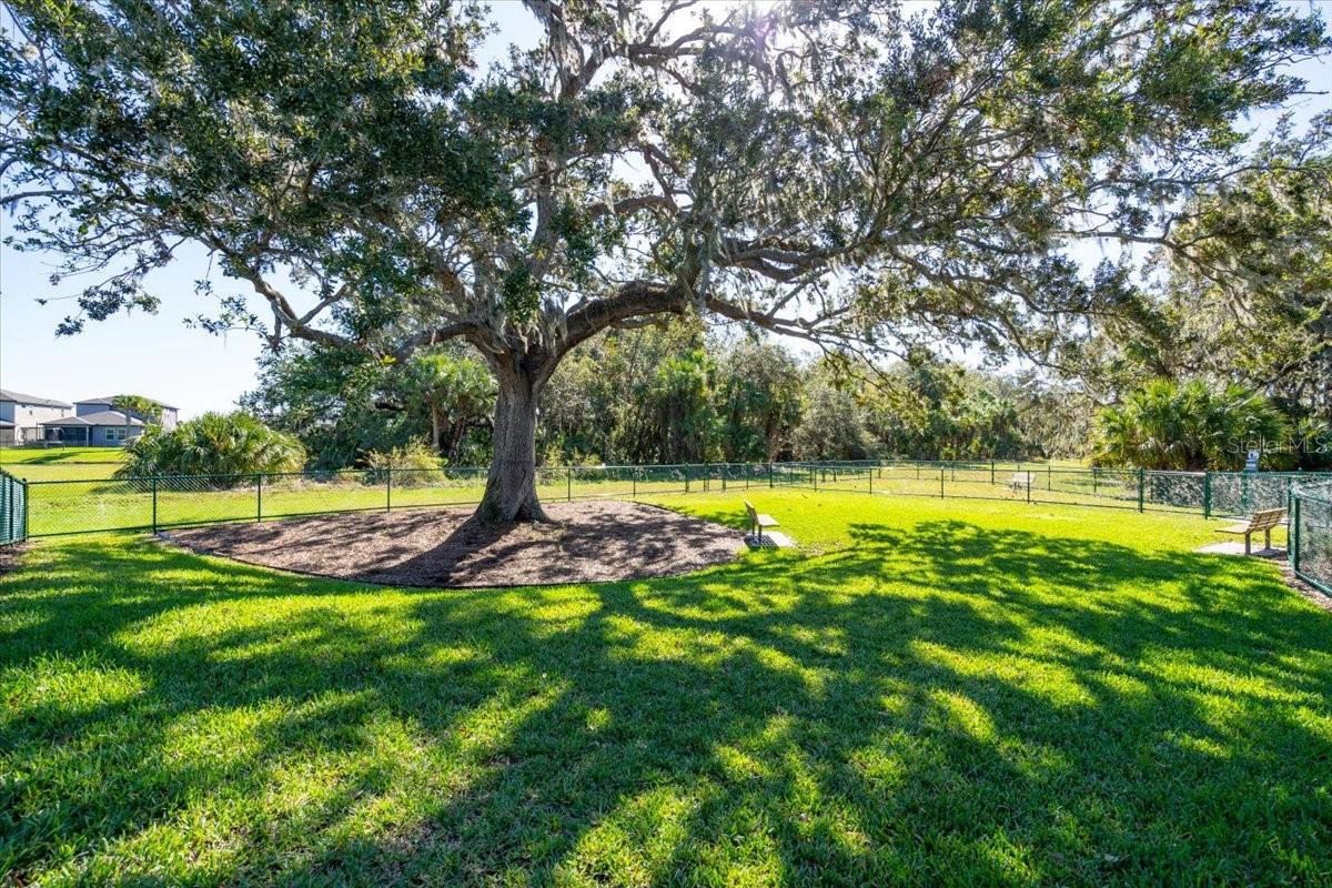 8728 STARRY NIGHT TER, PARRISH, FL, 34219