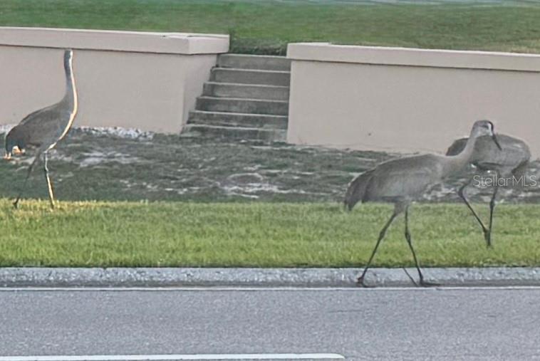 5738 KING JAMES AVE, LEESBURG, FL, 34748