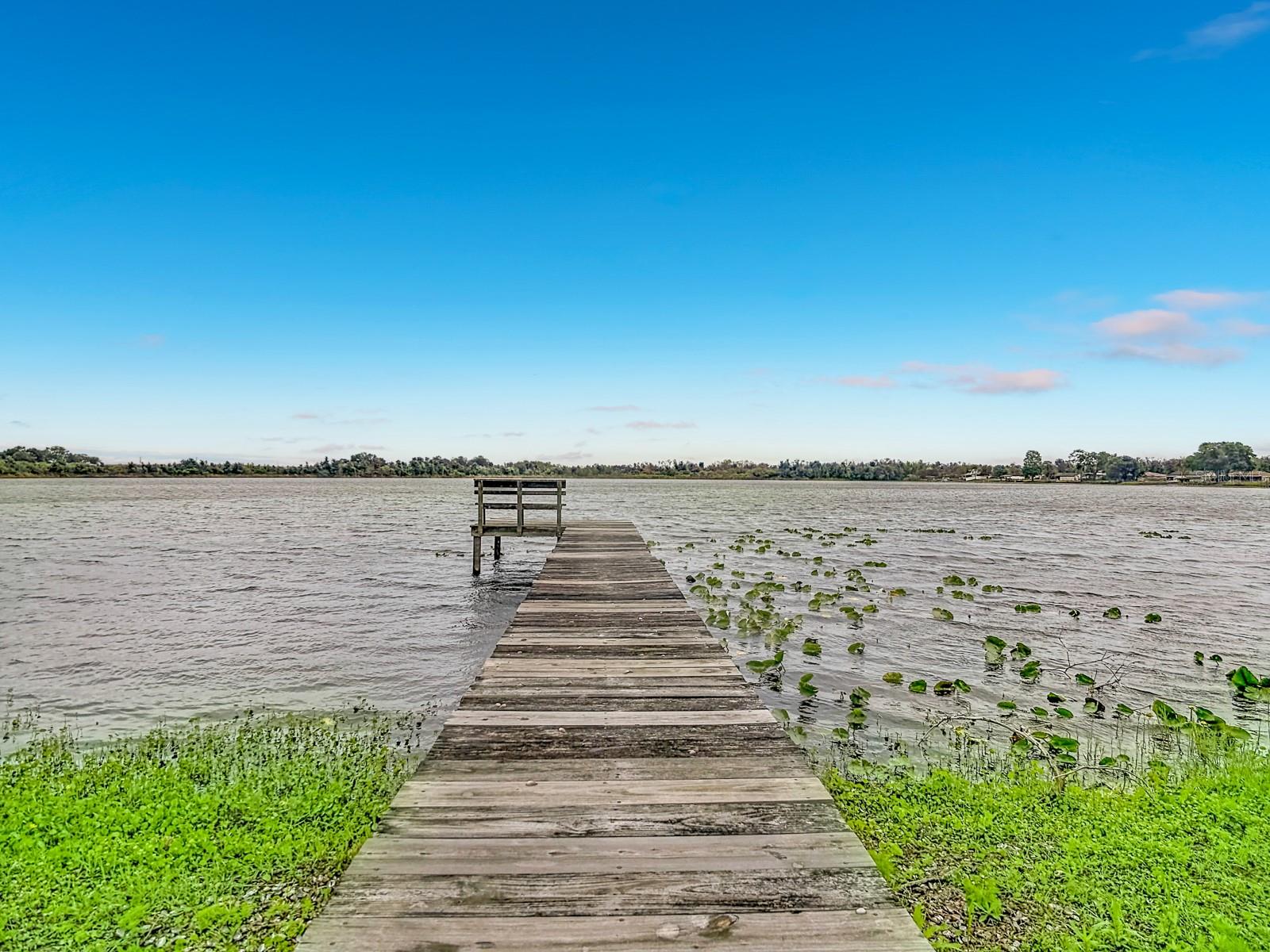 247 S LAKE PANSY DR, WINTER HAVEN, FL, 33881