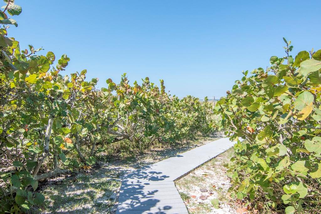 3200 GULF BLVD #103, ST PETE BEACH, FL, 33706