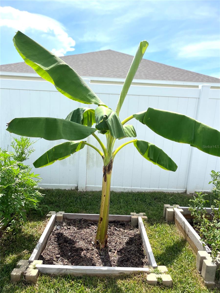 1373 MEZZAVALLE WAY, AUBURNDALE, FL, 33823