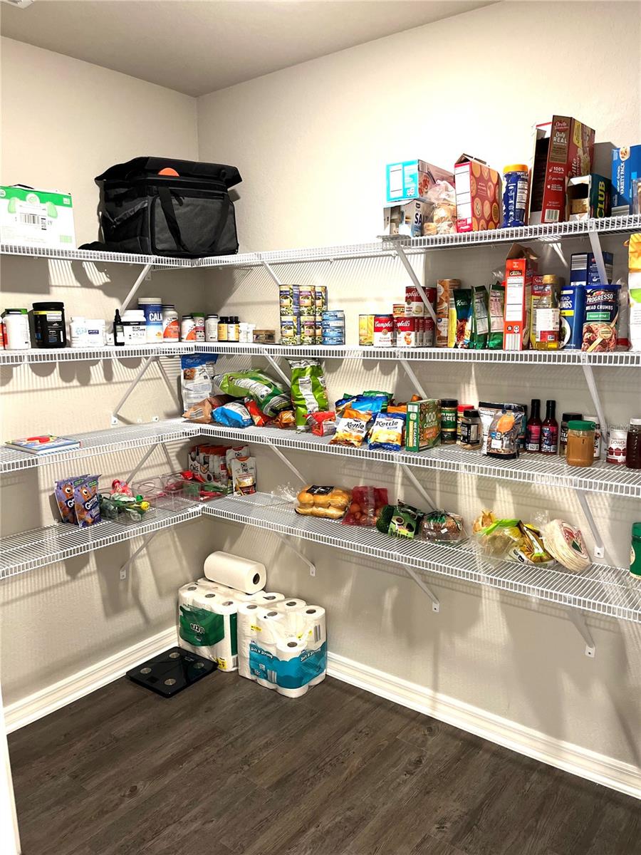 1373 MEZZAVALLE WAY, AUBURNDALE, FL, 33823