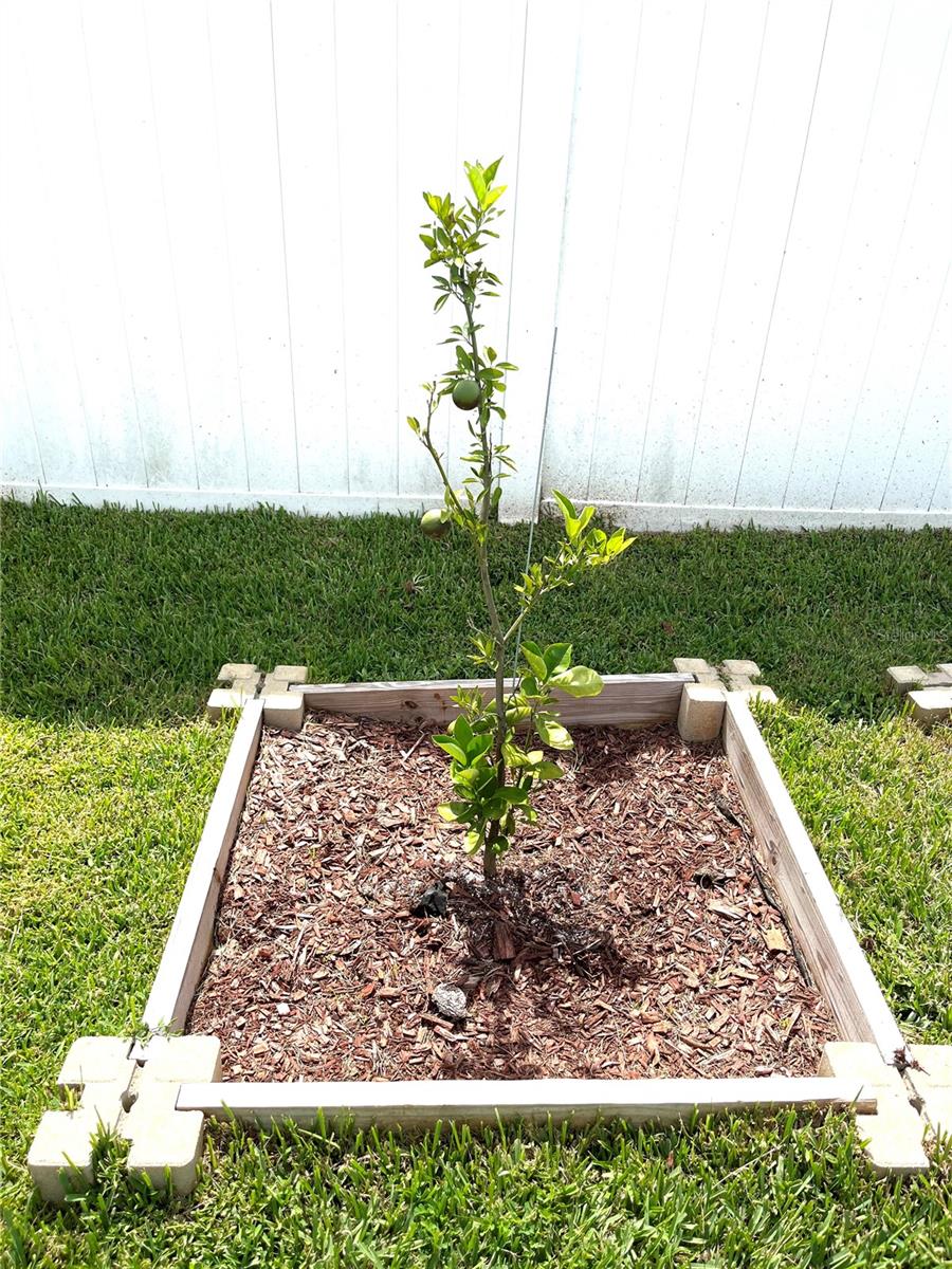 1373 MEZZAVALLE WAY, AUBURNDALE, FL, 33823