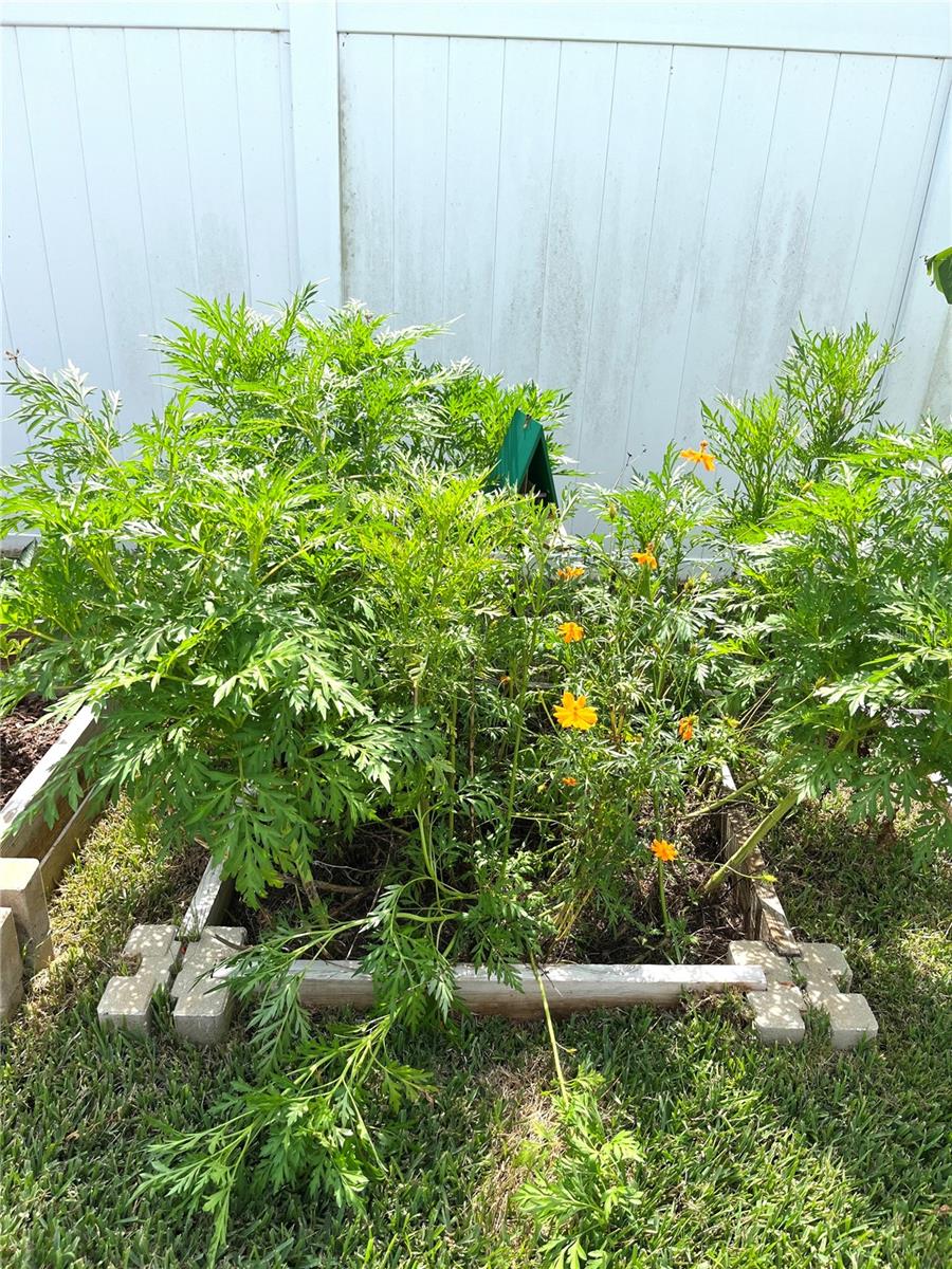 1373 MEZZAVALLE WAY, AUBURNDALE, FL, 33823